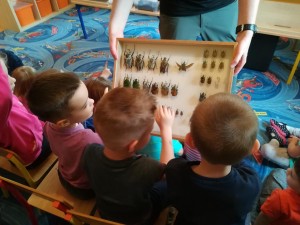 IMG_20180426_110811